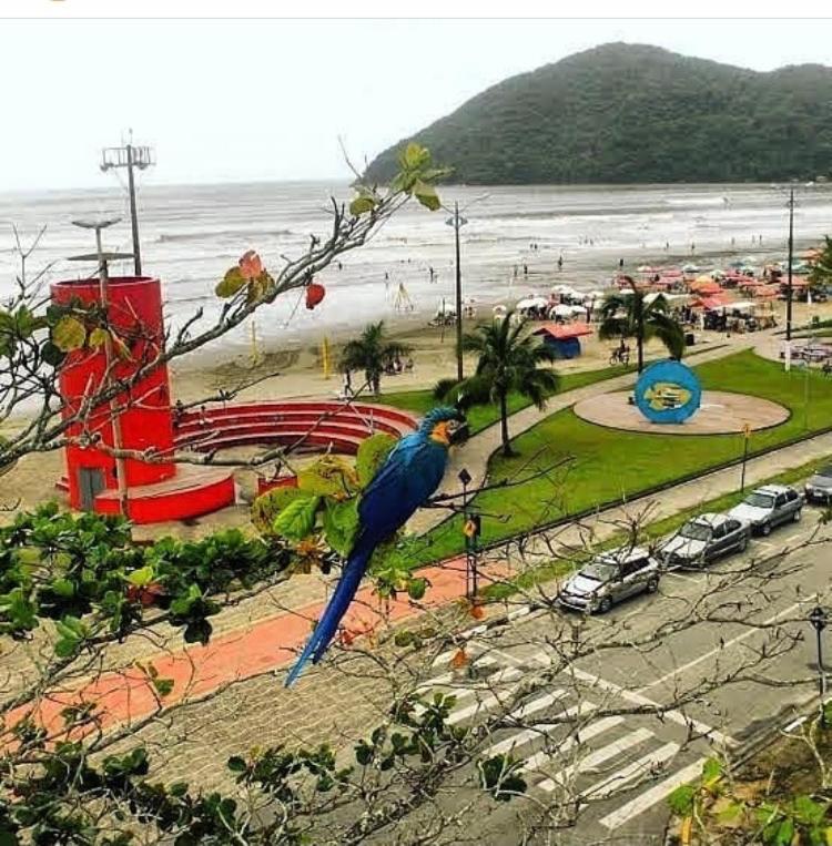 Suites Proximo Ao Rio Jaguareguava Em Bertioga Exteriör bild