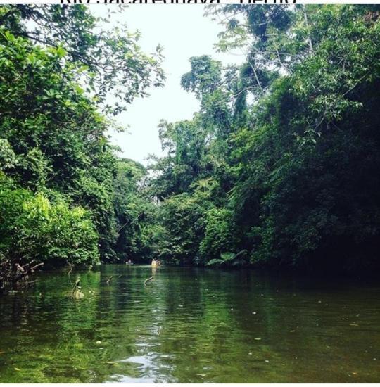 Suites Proximo Ao Rio Jaguareguava Em Bertioga Exteriör bild
